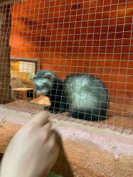 -酷嗒动物文化乐园(cutezoo西溪乐天城店)