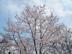 -东湖生态旅游风景区