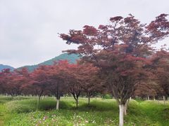 -云漫湖生态度假公园