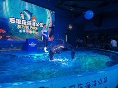 -石家庄海洋公园