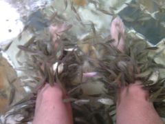 -华山御温泉度假村