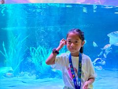 -沈阳海洋探索中心