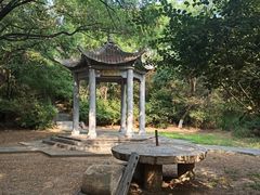 -高尔山公园
