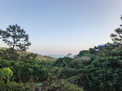 -广东惠东海龟国家级自然保护区