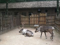 -洛阳白云山景区