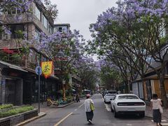 -三色堇(小通巷店)