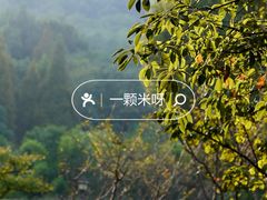 -习家池