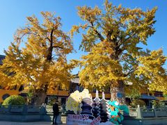 -圆通寺