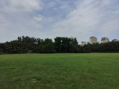 -泰丰公园