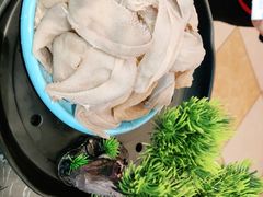 -一斗火锅·招财羊毛肚(北温泉九号店)