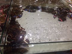 iphone_upload_pic-渔傅·蓝海岸霞浦海鲜(正祥店)