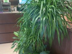 -荷花亭·湖北融合菜(十堰武商MALL店)