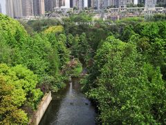 -重庆彩云湖湿地公园