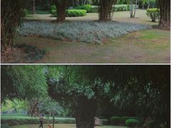 -惠和石文化园