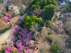 -杭州植物园