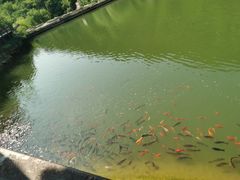 -黄花溪
