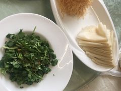 -丁老爷子苏香圆