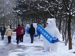 -少华山国家森林公园