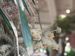 -春暖花开(西溪店)