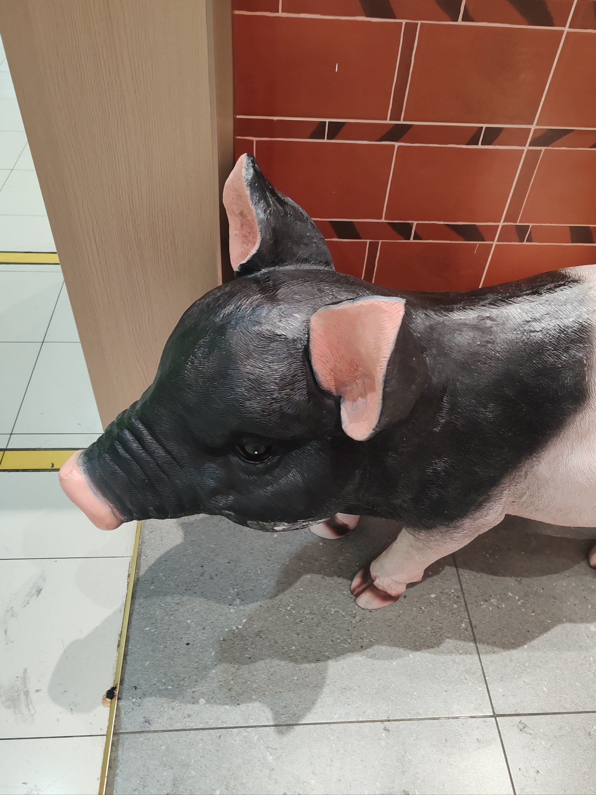 猪脚我点了两份