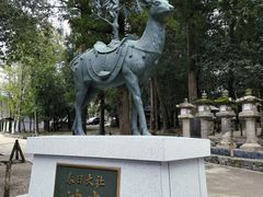 -奈良公园