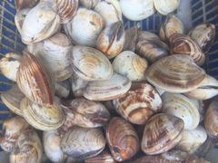 -海帮主·蒸汽海鲜青岛菜(栈桥火车站店)