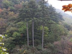 -玉渡山自然风景区