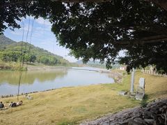 -风云岭森林公园