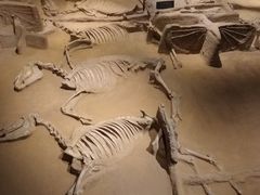 -洛阳周王城天子驾六博物馆