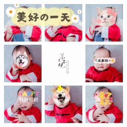 -小熊维尼高端孕婴摄影(清湖金銮店)