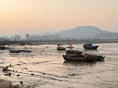 -北岐滩涂