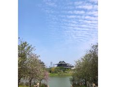 -海珠湖公园