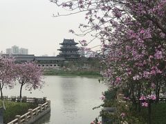 -海珠湖公园