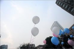 锦南楼草坪婚礼-锦江饭店·锦江小礼堂·宴会厅