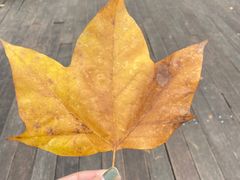 -贵阳市花溪国家城市湿地公园