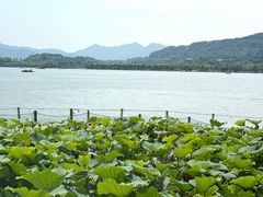 -湖畔居茶楼(湖滨店)