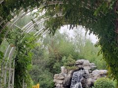 -南宫五洲植物乐园