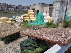 -芦潮港集贸市场