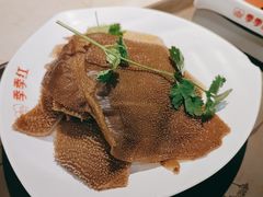 -季季红火锅(动壹店)