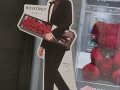 -ROSEONLY诺誓(国际广场购物中心店)