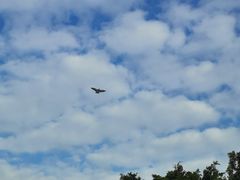 -风云岭森林公园