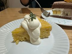 -猫里有甜