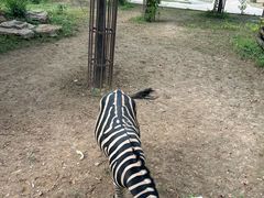 -太原动物园