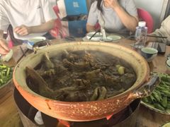 -霞姐屯昌枫木香草鸭店(海螺店)