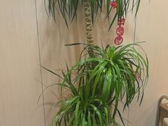 -七欣天香辣蟹火锅(无锡锡沪西路店)