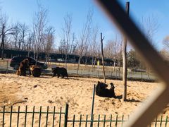 -秦皇岛野生动物园