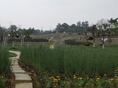 -紫颐香薰山谷景区