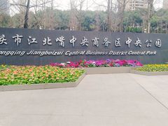 -重庆市江北嘴中央商务区中央公园