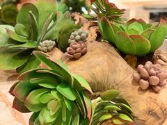 -嘉年华大酒店琴湾-自助餐厅