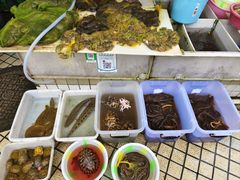 -西双版纳集贸市场